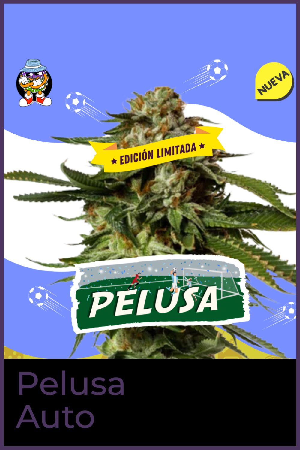 PELUSA AUTO