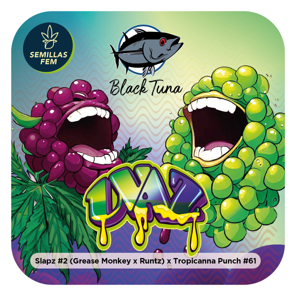 UVAZ FOTOPE [PACK X6 SEMILLAS] [BLACK TUNA SEEDS]